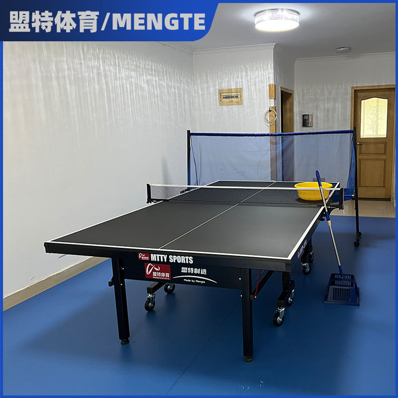 室内乒乓球台