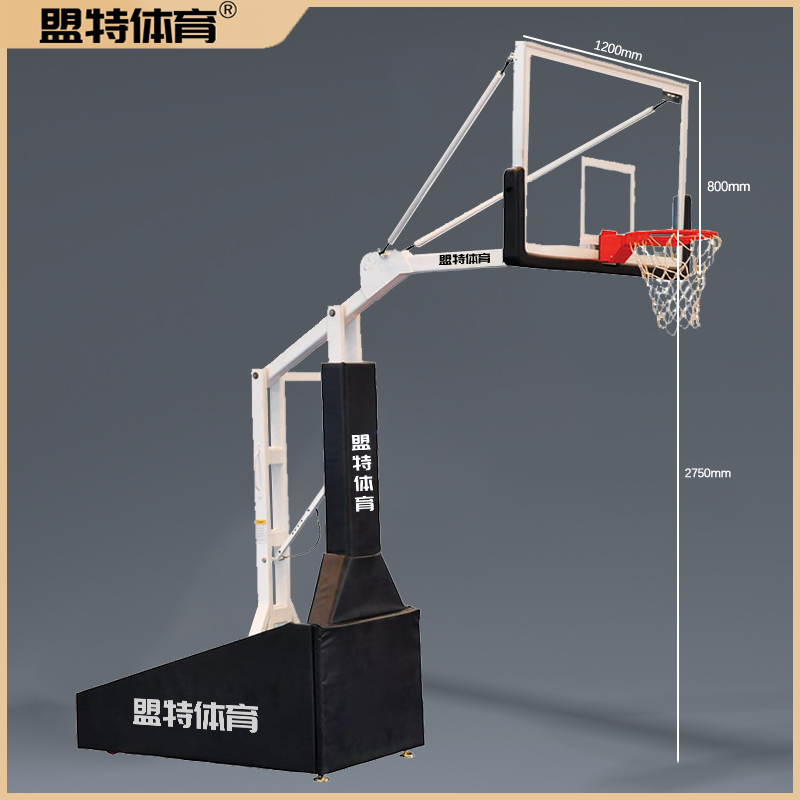 可调节篮球架推荐-710公海寰宇官网源头工厂