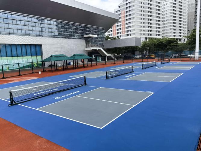 匹克球场地-710公海寰宇官网